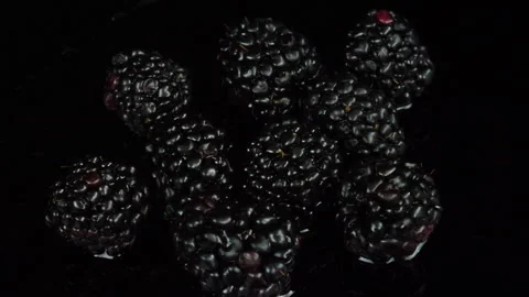 Blackberries Stock-Footage 232911337