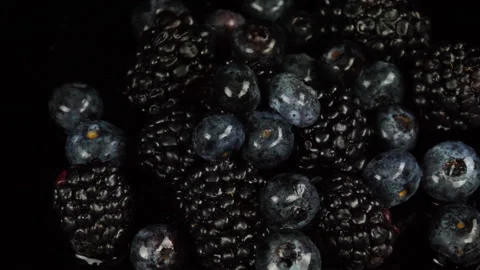 Blackberries Stock Footage 232911359