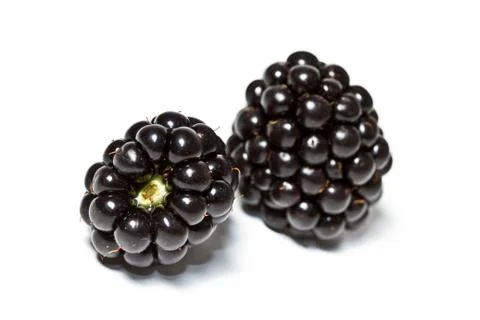 Blackberries isolated Stock Photos