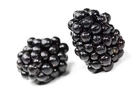 Blackberries isolated Stock Photos