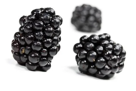 Blackberries isolated Stock Photos