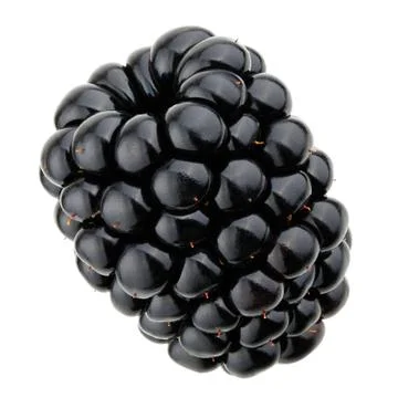 Blackberries isolated on white background Stockfoto's