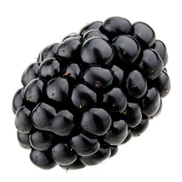 Blackberries isolated on white background Stock Photos