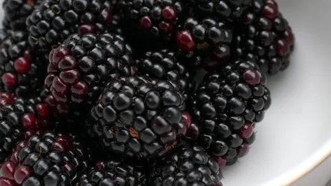 Blackberries in a macro shot Stock Footage 249959047