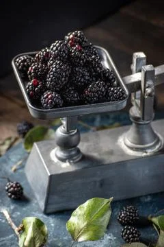 Blackberries on metal scale on rustic table with leaves and dark marble Stock Photos