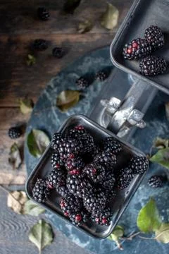 Blackberries on metal scale on rustic table with leaves and dark marble top view Stock Photos