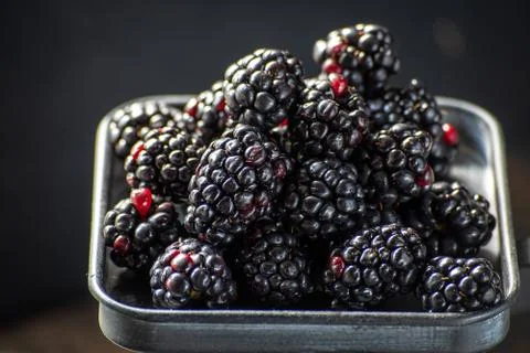 Blackberries on metal scale on rustic table with leaves and dark marble Stock Photos