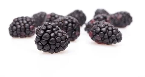 Blackberries Stock Photos