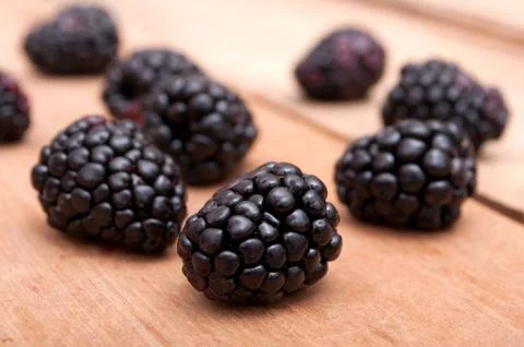 Blackberries Stock Photos