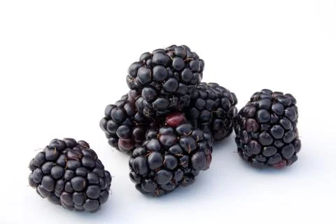 Blackberries Stock Photos