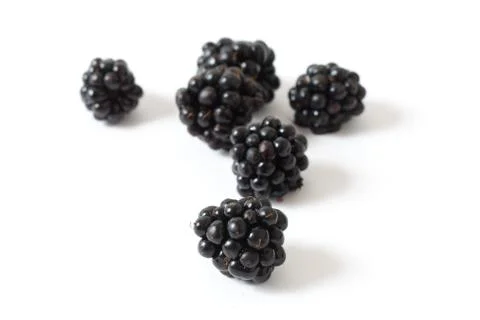 Blackberries Stock Photos