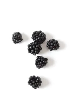 Blackberries Stock Photos