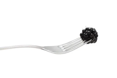 Blackberries Stock Photos
