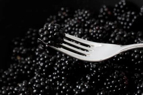 Blackberries Stock Photos