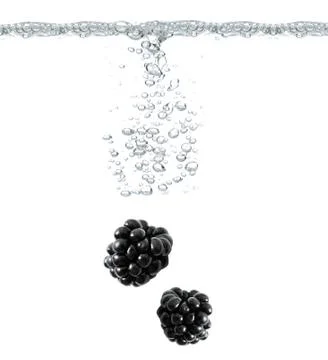 Blackberries Stock Photos