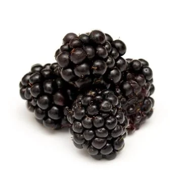 Blackberries Stock Photos