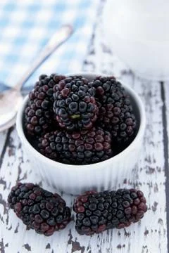 Blackberries Stock Photos