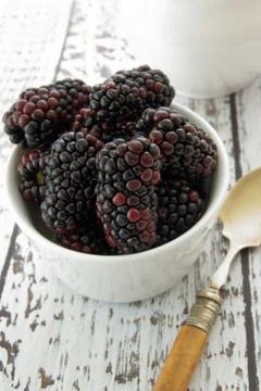 Blackberries Stock Photos