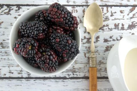 Blackberries Stock Photos