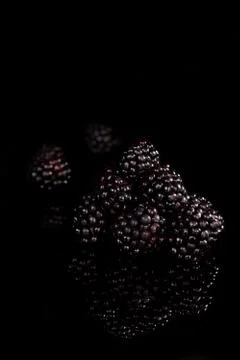 Blackberries. Stock Photos