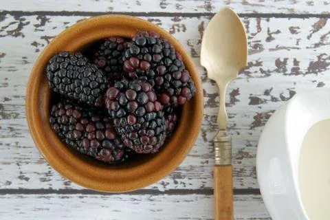 Blackberries Stock Photos