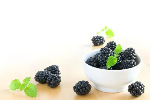 Blackberries Stock Photos