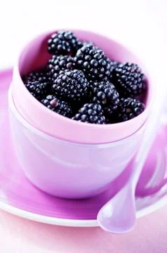 Blackberries Stock Photos