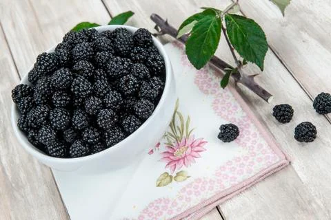 Blackberries Stock Photos