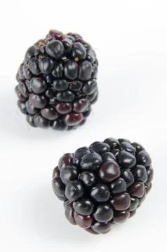Blackberries Stock Photos