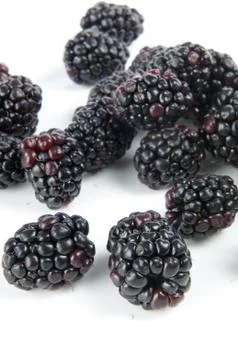 Blackberries Stock Photos