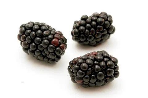 Blackberries Stock Photos