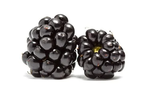 Blackberries Stock Photos