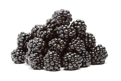 Blackberries Stock Photos