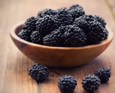 Blackberries Stock Photos