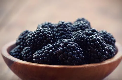 Blackberries Stock Photos