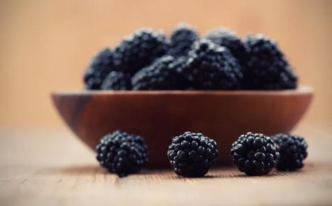 Blackberries Stock Photos