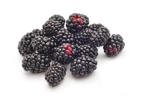Blackberries Foto stock