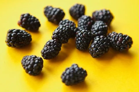 Blackberries Stock Photos
