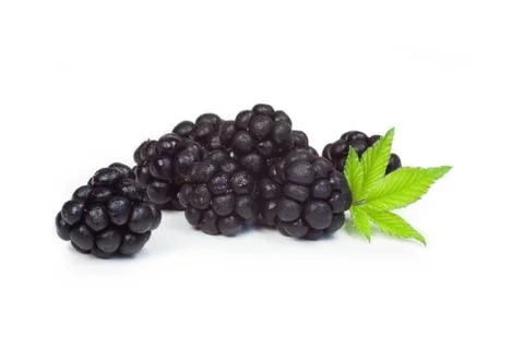 Blackberries Stock Photos