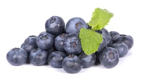 Blackberries Stock Photos