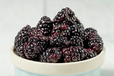 Blackberries Stock Photos