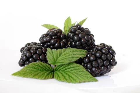 Blackberries Stock Photos