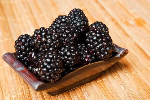 Blackberries Stock Photos