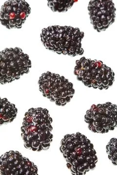 Blackberries Stock Photos