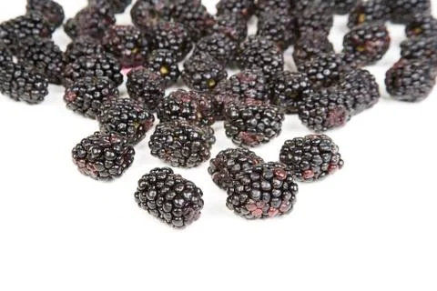 Blackberries Stock Photos