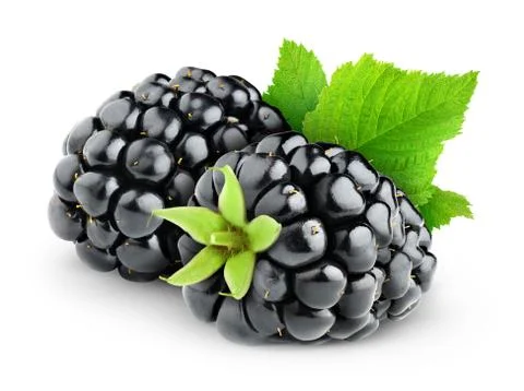 Blackberries Foto stock