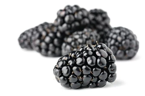 Blackberries Stock Photos