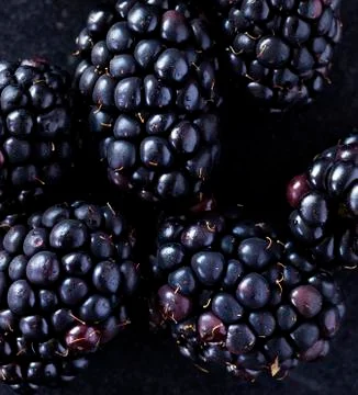 Blackberries Stock Photos