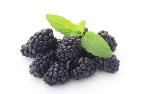 Blackberries Stock Photos