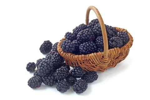 Blackberries Stock Photos